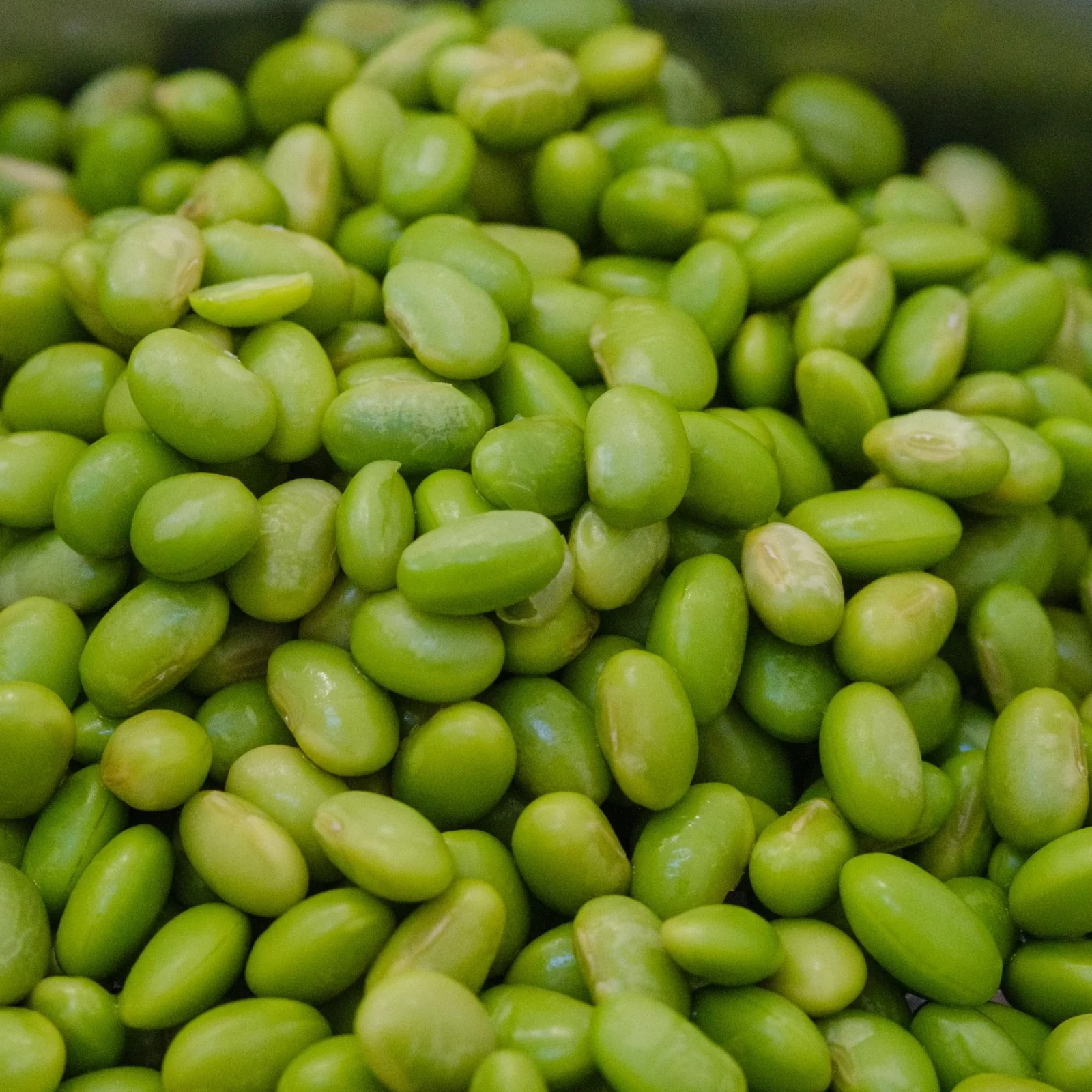 Green edamame pods and beans