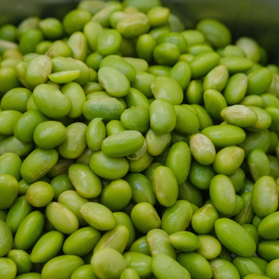 Green edamame pods and beans