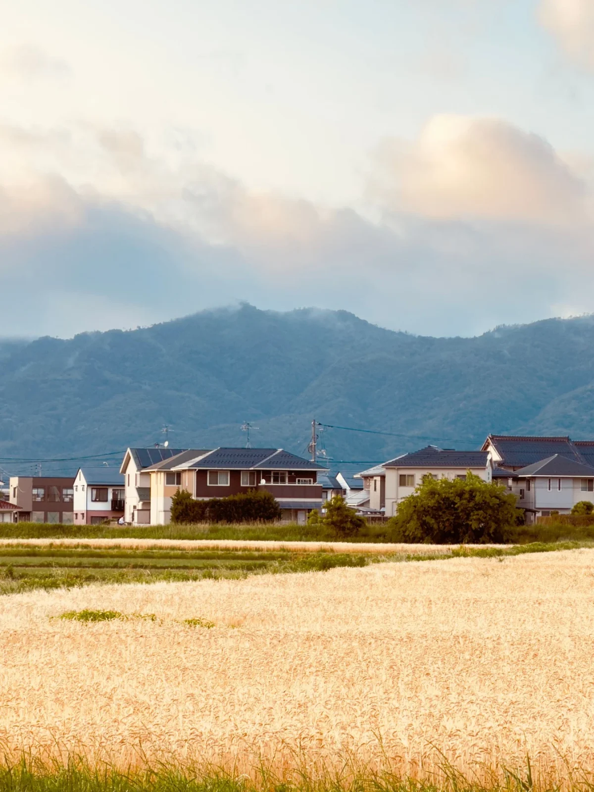 A rural Japanese landscape in warm evening light